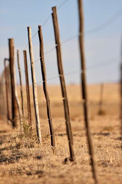 نرده های چوبی زیبا