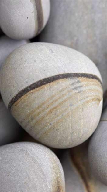 تصاویر با کیفیت برای پس زمینه موبایل با موضوع طبیعت3