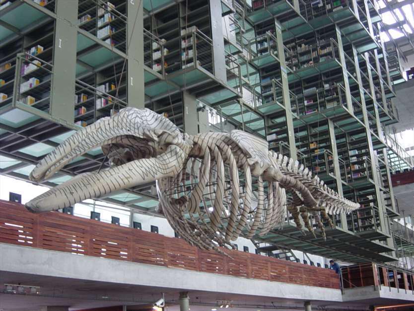 برترین کتابخانه های جهان(2)