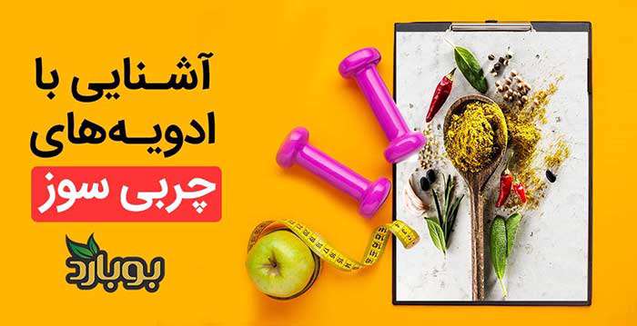 معرفی ادویه جاتی که باعث لاغری می شوند