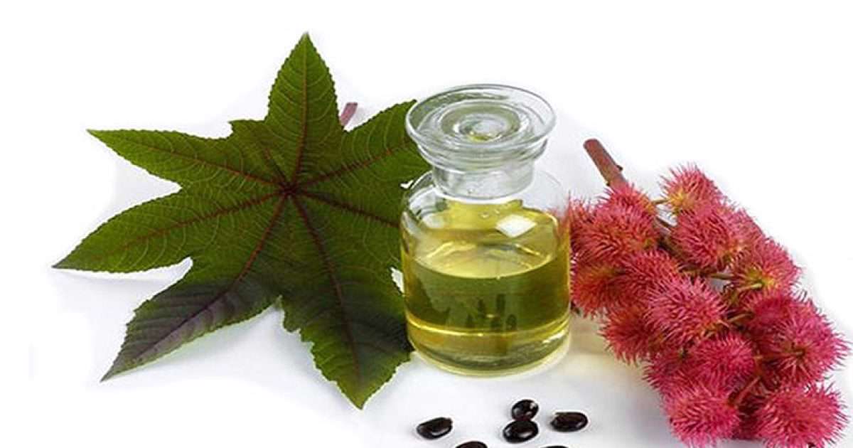 روغن کرچک