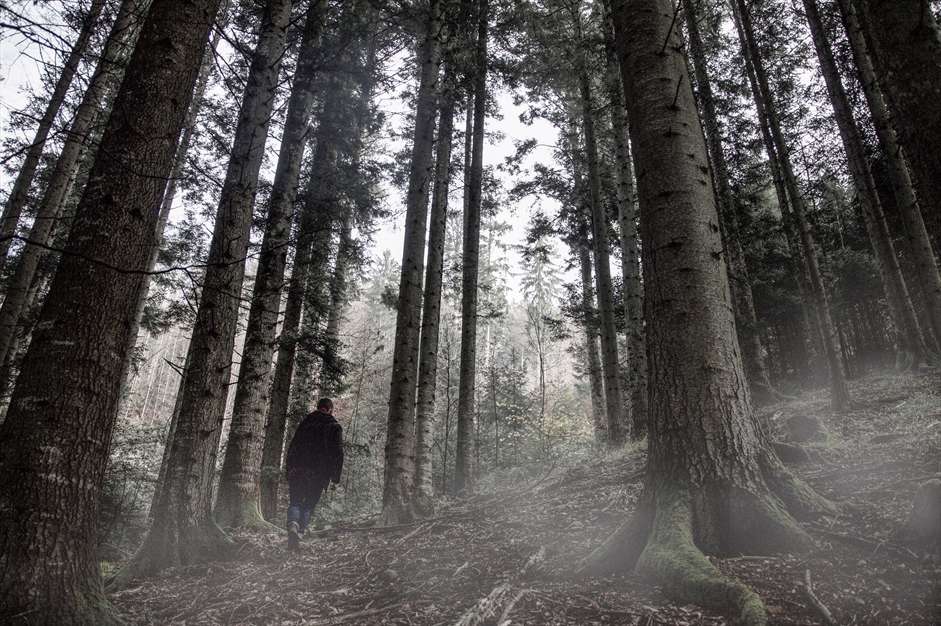 ریشه های عجیب