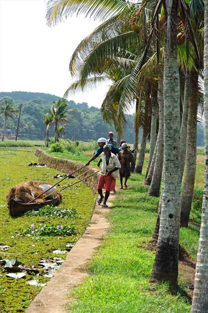 تصاویری از هندوستان