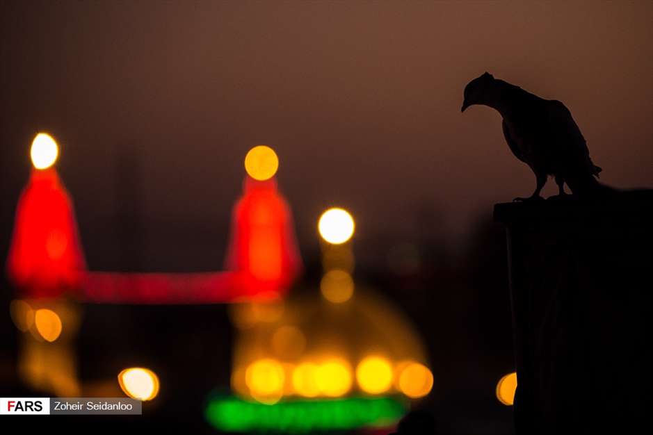 شام غریبان حسینی در کربلا