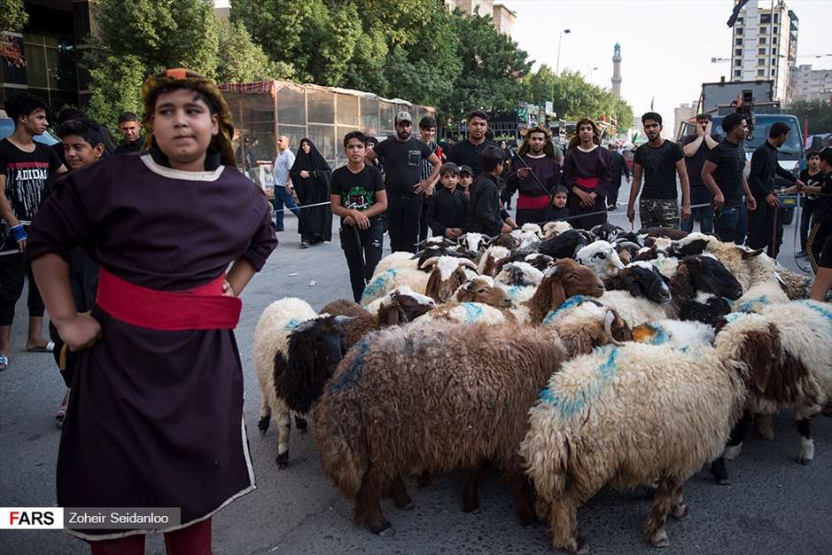 ورود نمادین کاروان امام حسین(ع) به کربلا