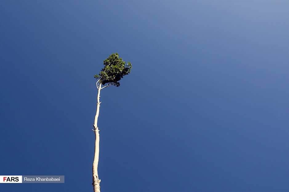 آئین مذهبی« قارقارا » در خلخال