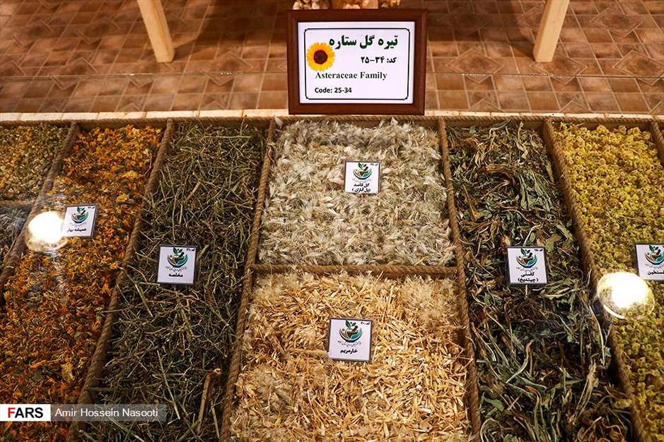 باغ موزه «گیاهان دارویی و معطر» زنجان