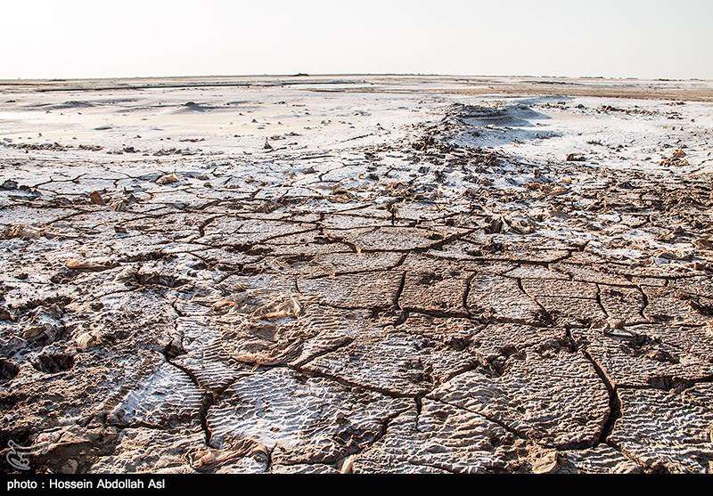  افزایش شوره زارها در آبادان 