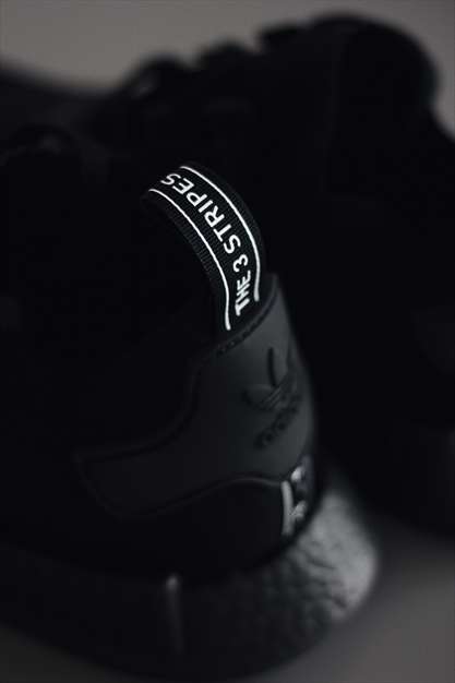 لنز و دوربین