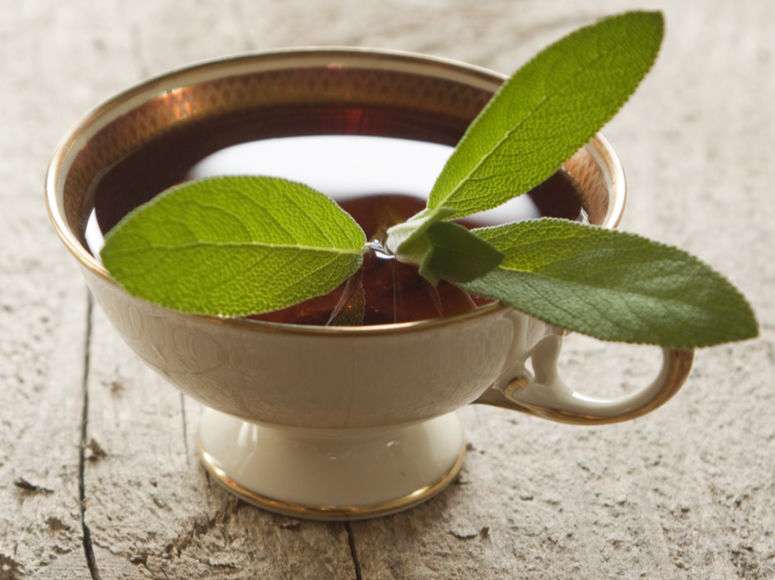 مریم گلی