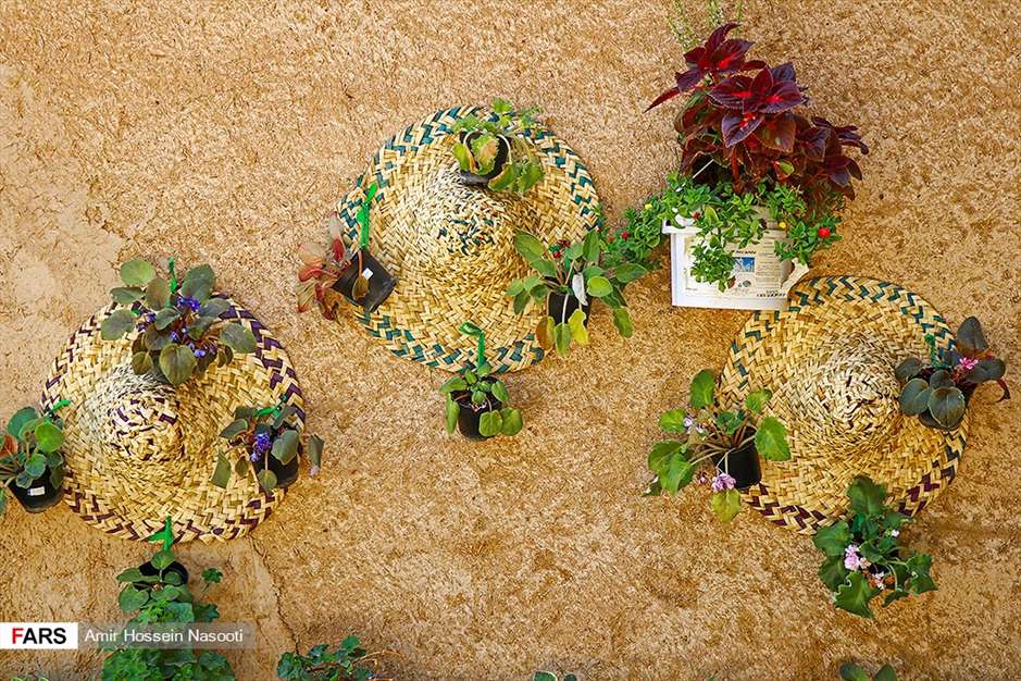 باغ موزه «گیاهان دارویی و معطر» زنجان