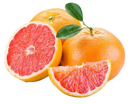 گریپ فرود