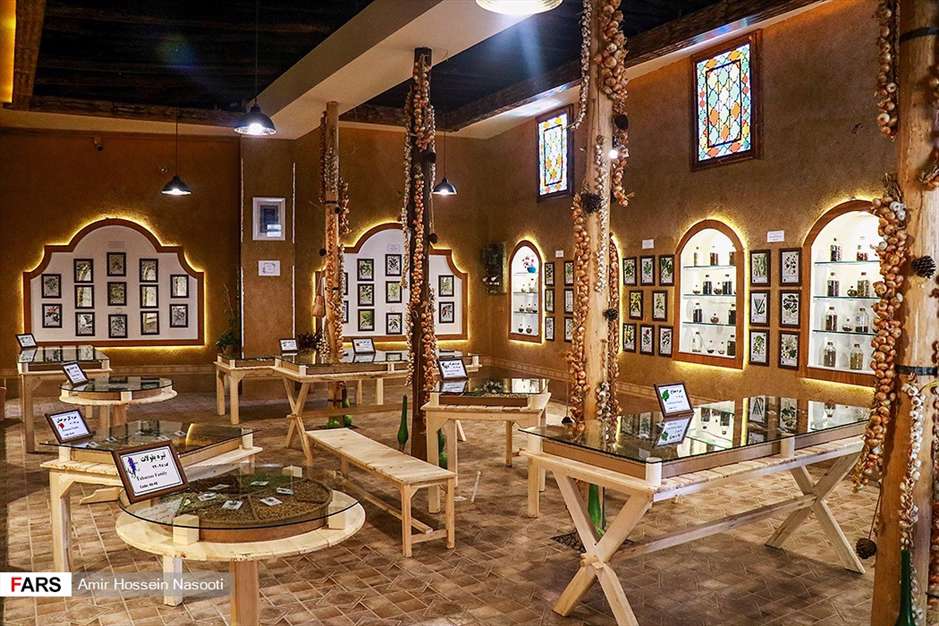 باغ موزه «گیاهان دارویی و معطر» زنجان