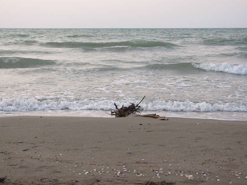 عکس های ساحل