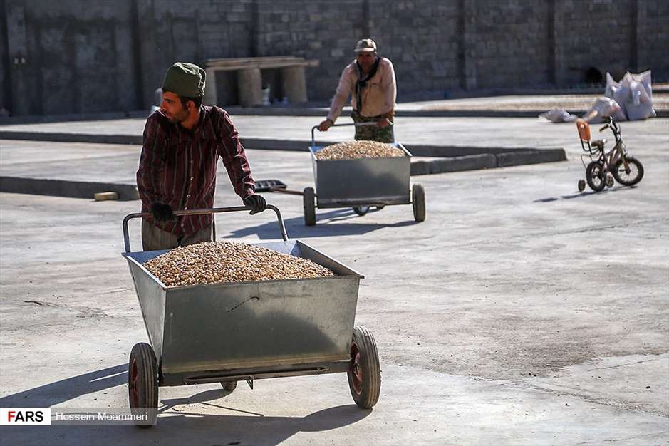 جاجَرم؛ «قطب پسته» خراسان شمالی