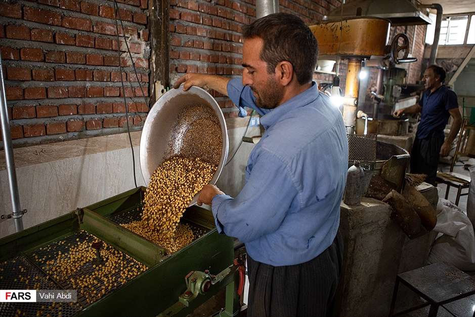 مَمَقان پایتخت تولید «نخودچی» جهان