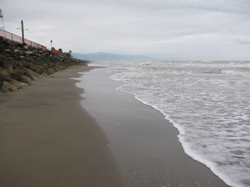 عکس های ساحل