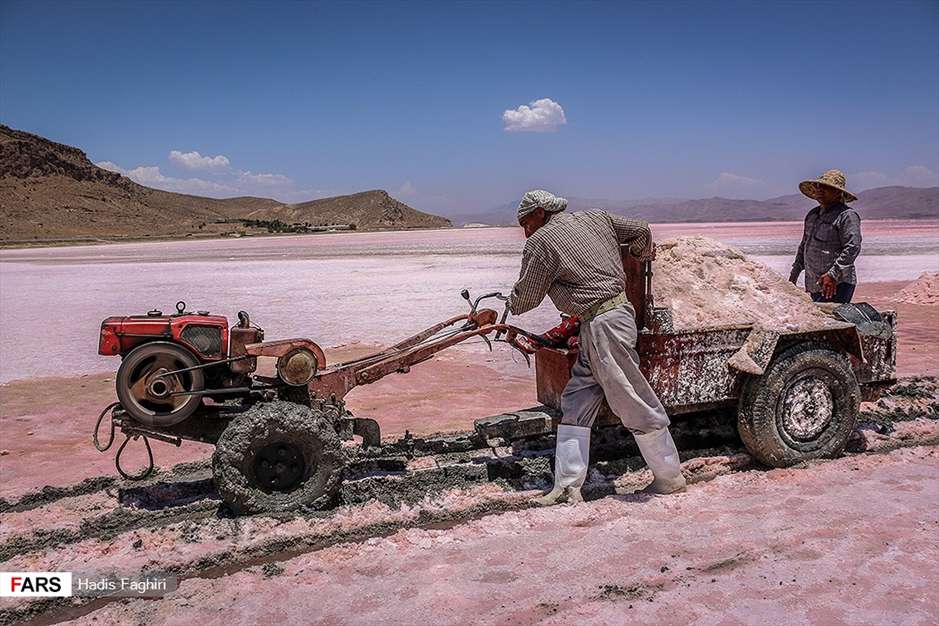 برداشت نمک‌ از«دریاچه مَهارْلو»