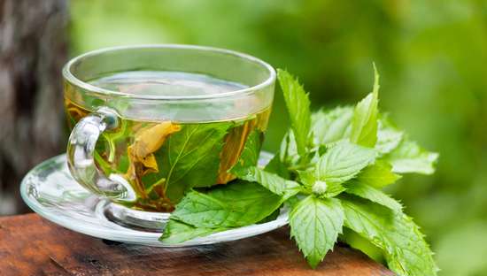 دمنوش بادرنجبویه