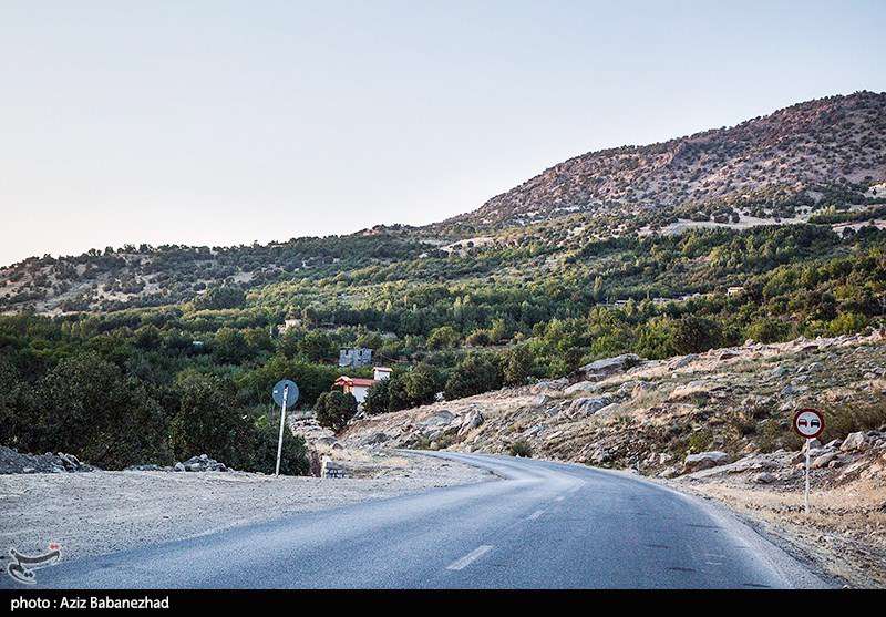 برداشت سیب از باغات شهرستان سلسله