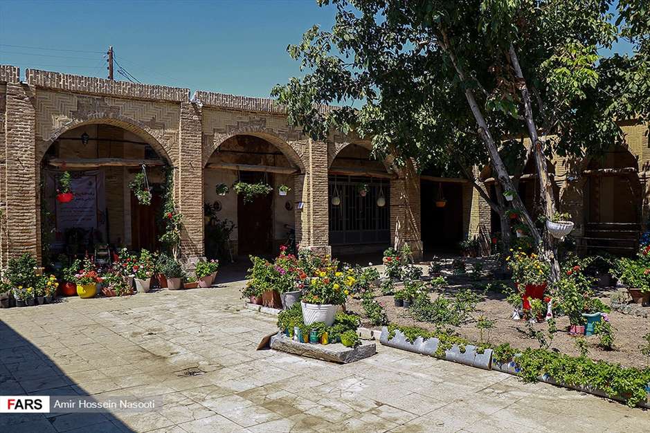 باغ موزه «گیاهان دارویی و معطر» زنجان