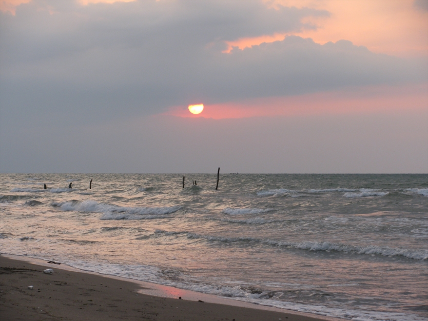 عکس های ساحل