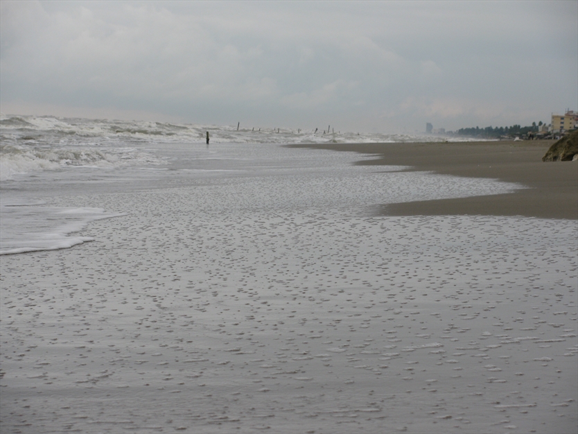 عکس های ساحل