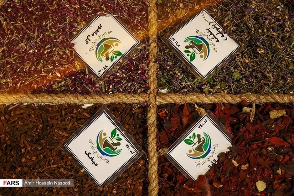 باغ موزه «گیاهان دارویی و معطر» زنجان