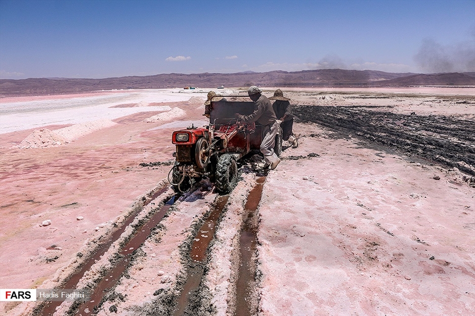 برداشت نمک‌ از«دریاچه مَهارْلو»