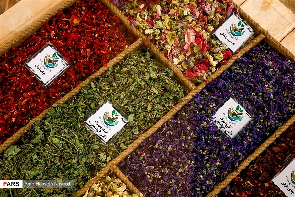 باغ موزه «گیاهان دارویی و معطر» زنجان