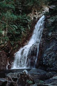آبشار
