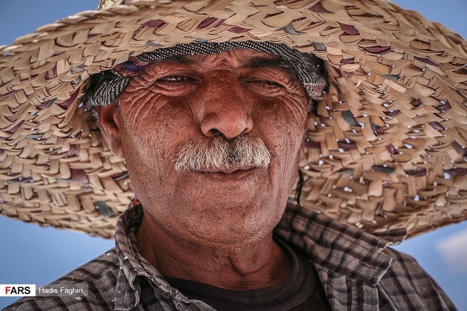 برداشت نمک‌ از«دریاچه مَهارْلو»