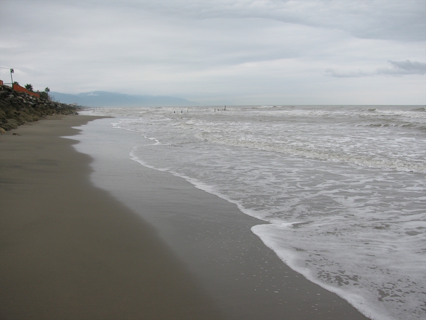 عکس های ساحل