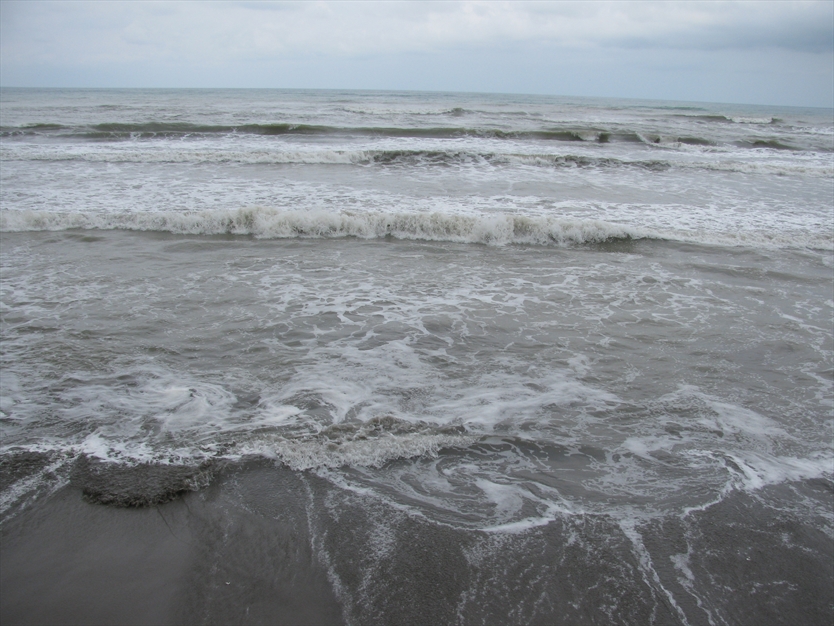 عکس های ساحل