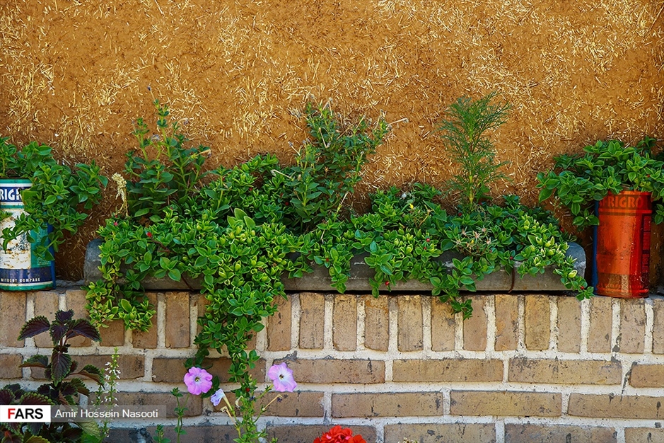 باغ موزه «گیاهان دارویی و معطر» زنجان