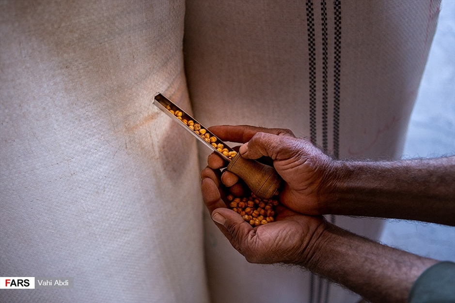 مَمَقان پایتخت تولید «نخودچی» جهان