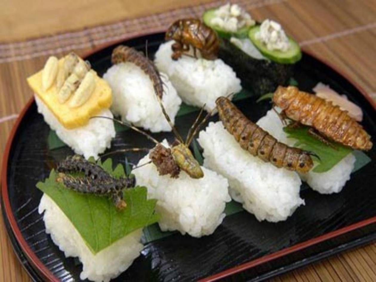 خوراک سوسک
