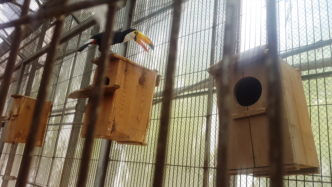 باغ پرندگان