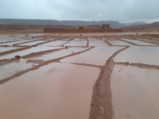 سیل تربت جام
