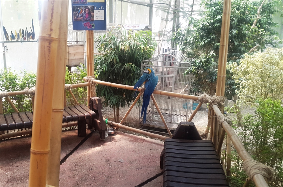 باغ پرندگان