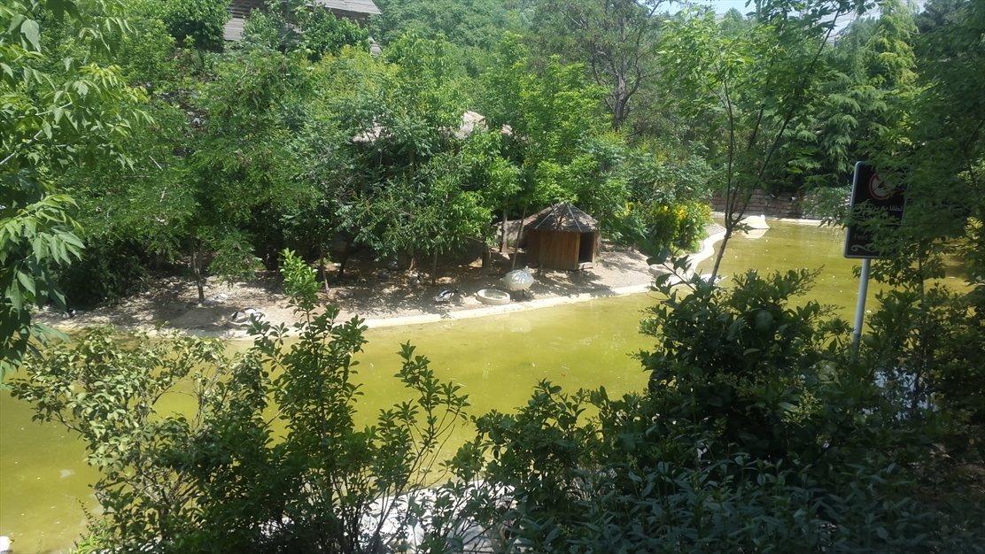 باغ پرندگان