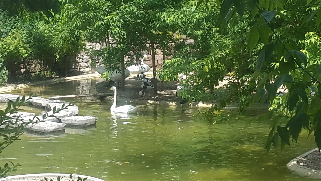 باغ پرندگان