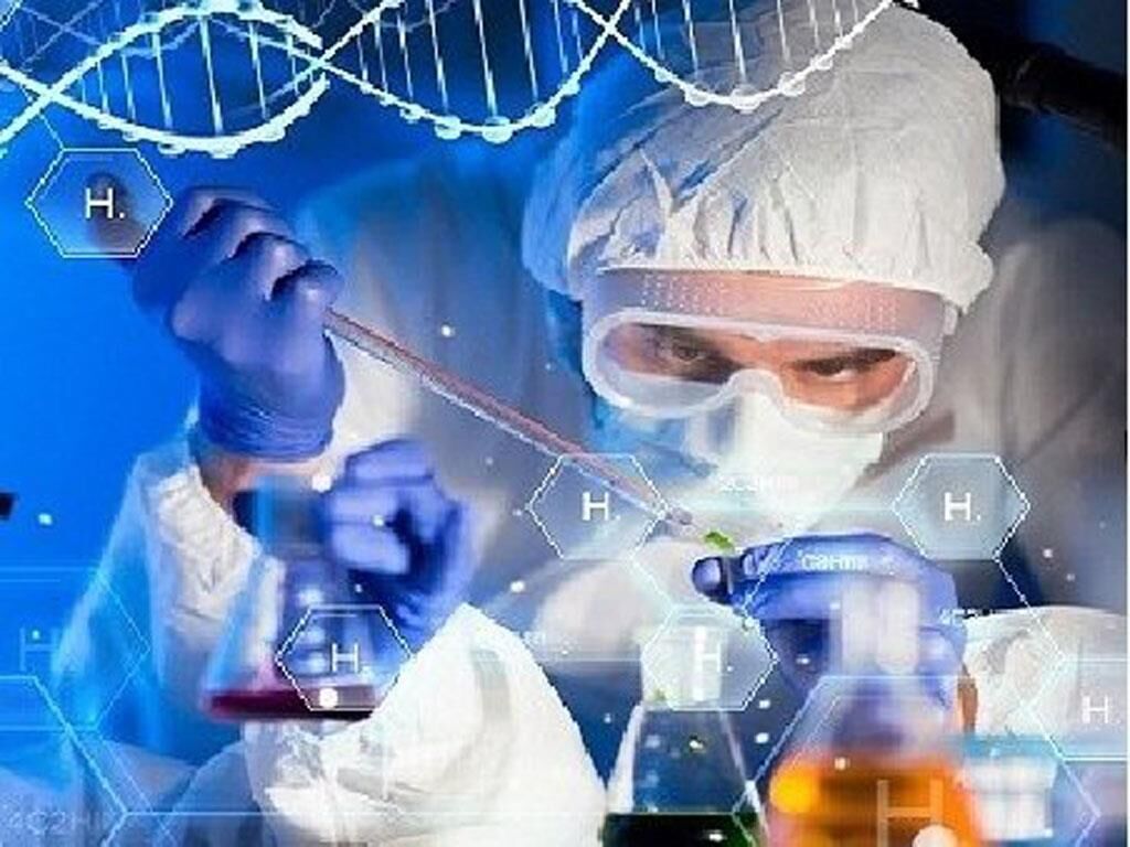نظام سلامت