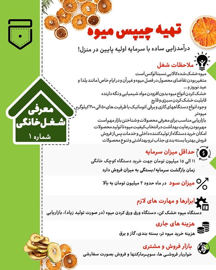 چیپس میوه