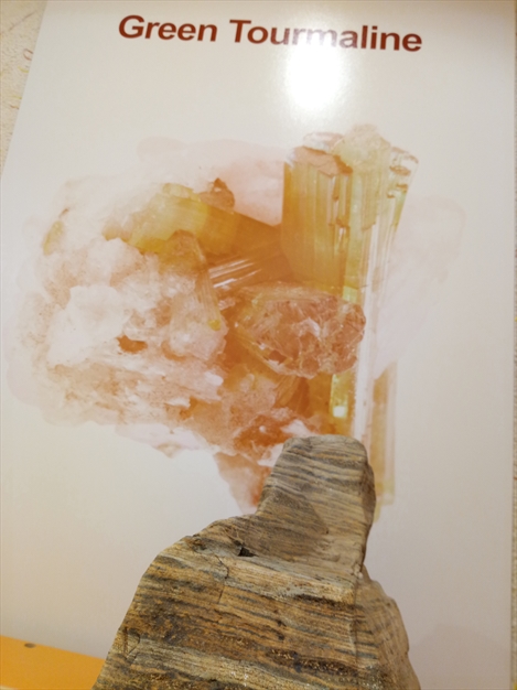 موزه معدن سنگ های زینتی