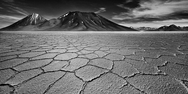 کویر،عنکبوت سفید، برترین عکسها، عکسهای علمی،