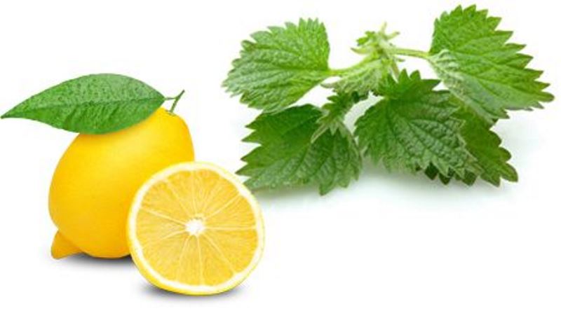 گزنه، لیموترش،