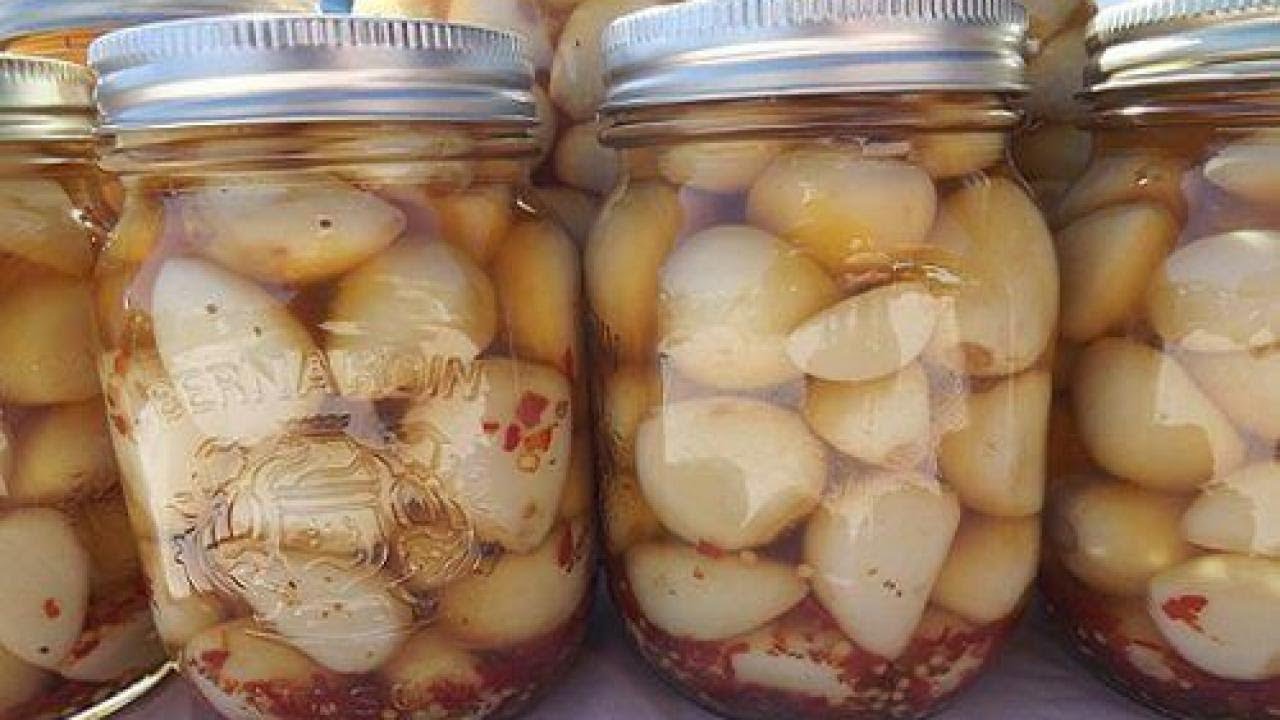 سیر، لیموترش، زنجبیل، عسل،