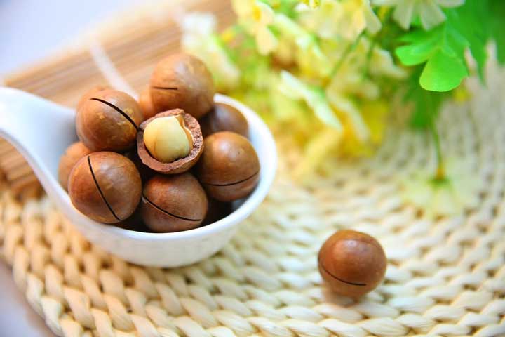 مواد مغذی