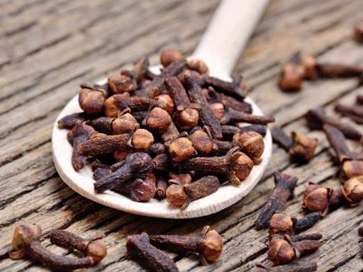 خواص گیاه میخک خواص گیاه میخک